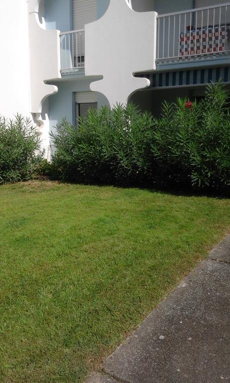 T3 Les Peupliers Proche Pasino Et Mer Apartment La Grande-Motte Exterior photo